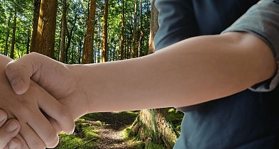 Sprzedaż lasu w regionie Pułtuska? Nadleśnictwo ogłosiło warunki