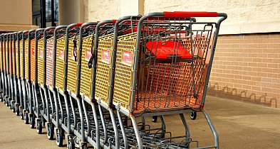 Dino bez strajku. Pracownicy proszą o... spacer