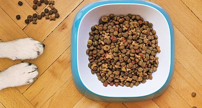 Pułtusk pomaga zamiast tylko wspominać. Trwa wyjątkowa akcja