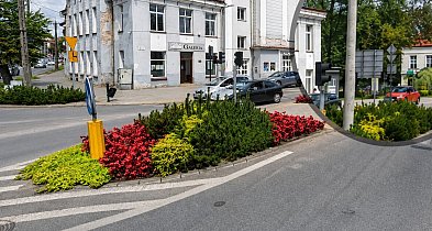 Straż Miejska przekazała policji 66 nagrań z monitoringu