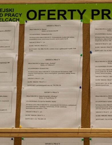 Liczba ofert w pracy w sierpniu br. o 13 proc. mniejsza niż przed rokiem-32266