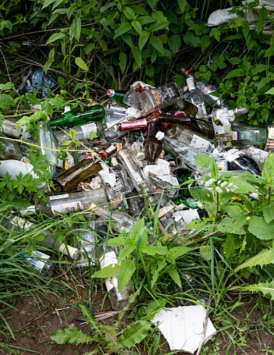 Małpki hojnie sypią kasą! Gmina Pułtusk liderem w powiecie!-33224