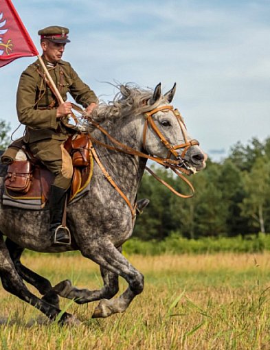 Wywieś Flagę Mazowsza-33452