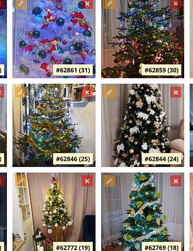 Twoja choinka może przejść do historii Pułtuska. Sprawdź jak-34663