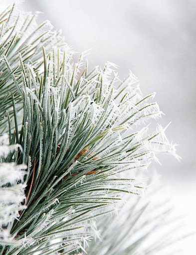 Dużo śniegu i mróz. Pogoda na weekend-35158