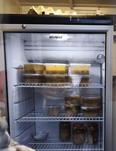 „Dobro się gotuje” w Pułtusku. Kto stoi za pełną lodówką?