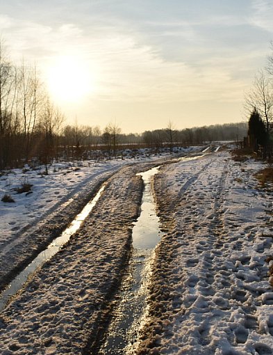 W nadchodzących dniach temperatura wynieść może nawet 7 st. C