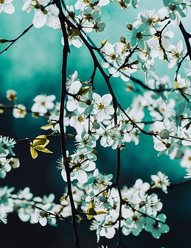 Ocieplenie na Wielkanoc; wysoka temperatura...