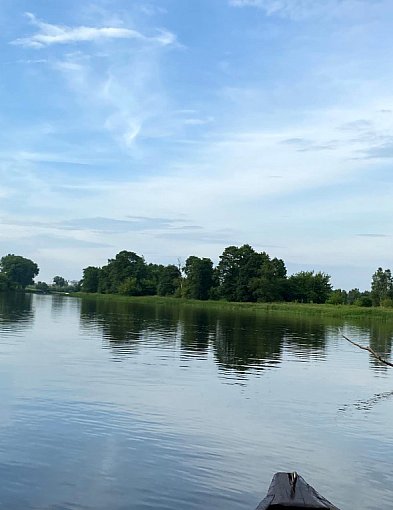 Narew w Pułtusku to ukryty skarb? Eksperci nie mają wątpliwości