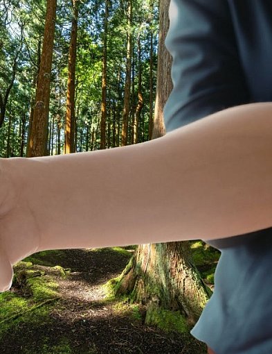 Sprzedaż lasu w regionie Pułtuska? Nadleśnictwo ogłosiło warunki