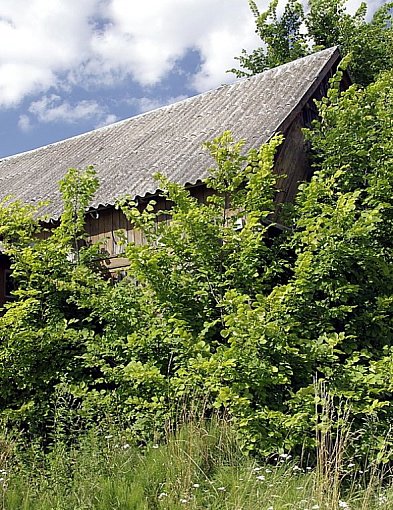 Mazowsze szuka drewnianych skarbów. Powiat pułtuski ma mocne karty