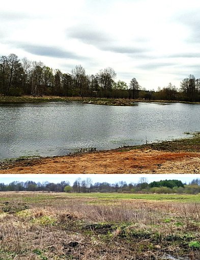 Nowa Natura 2000 w powiecie pułtuskim? [MAPY]