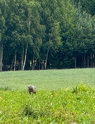 Chmielewo mówi „nie”. Sprzeciw wobec inwestycji odpadowej