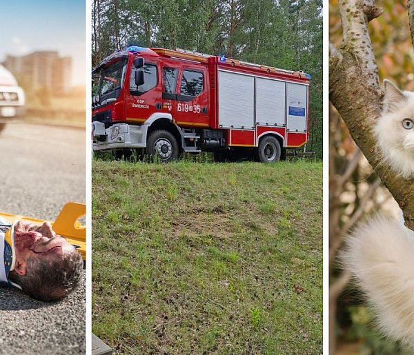 Kot uwięziony na drzewie kilka dni – pomogli strażacy z Pułtuska!-32240