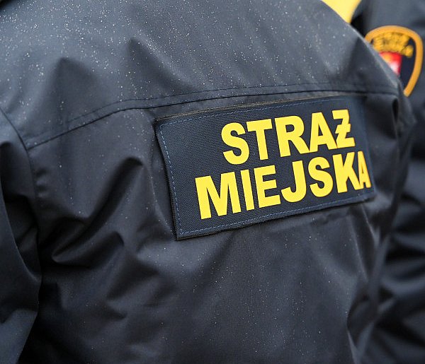 Zapuka strażnik, zapłacisz karę. Ruszyły kontrole w całej Polsce-32884