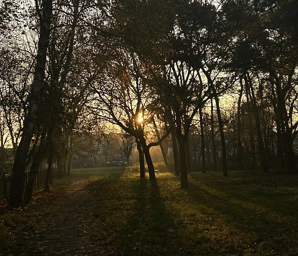 Nadchodzi najkrótszy dzień w 2025 roku. Sprawdź, kiedy przypadnie-34575