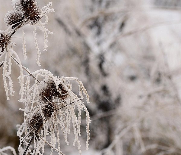 Najbliższe noce ze znacznymi spadkami temperatury-34951