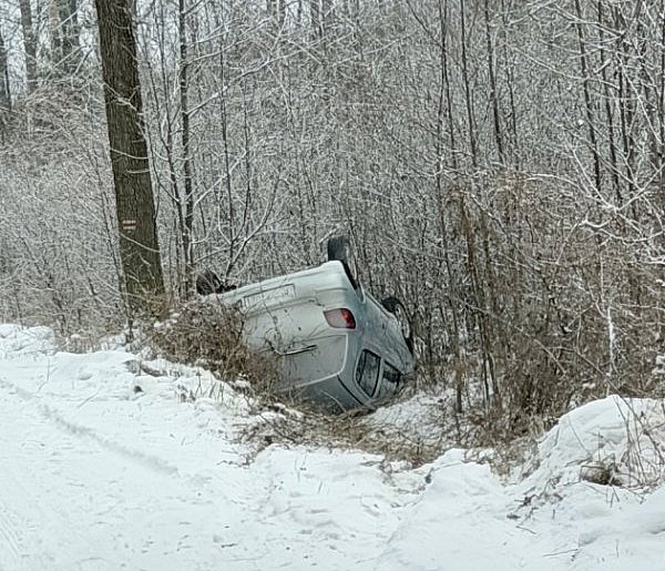 Dachowanie w lesie pod Pułtuskiem. Strażacy znów w akcji [FILM]-35155