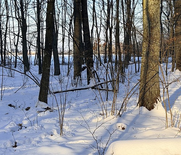 Nadchodzące dni będą zimne i słoneczne, miejscami temp. spadnie do -25-35365
