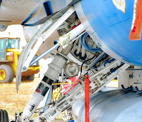 Wskazano zawody, które będą szczególnie poszukiwane! Warto je poznać!