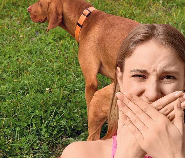 Pułtusk tonie w psich odchodach? Burza w internecie!