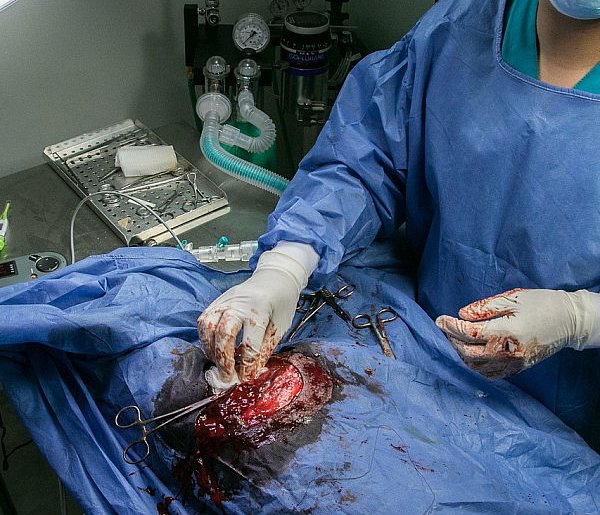 Twierdzą, że tu pomoże tylko kastracja