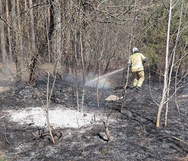 O krok od tragedii! Leśne pożary w gminie Zatory!