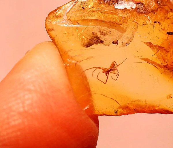 Ciekawe odkrycie pułtuskiego nauczyciela