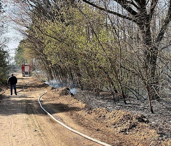 Niebezpieczny pożar w regionie! Strażacy walczyli z żywiołem