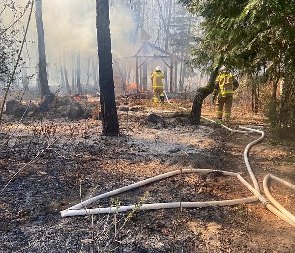 Sekundy od katastrofy! Leśniczy uratował życie i dom