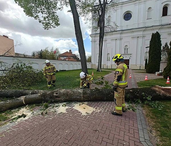 Chaos po wichurze! Zniszczenia w Pułtusku i okolicach