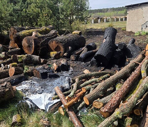 Ogień w lasach i na posesjach. Aż 15 interwencji straży