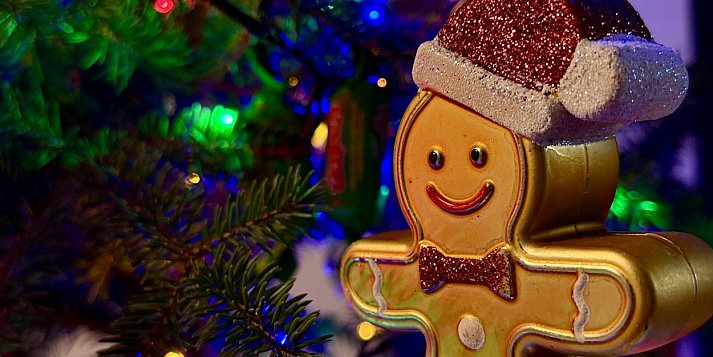 Twoja choinka może przejść do historii Pułtuska! Zobacz co trzeba zrobić