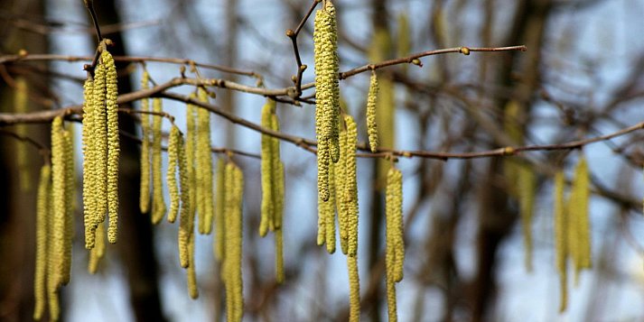 Od poniedziałku na termometrach nawet 17 st. C
