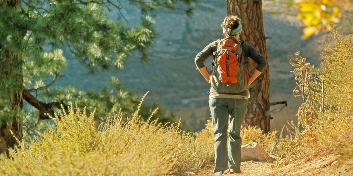 Diecezja przygotowuje pielgrzymkę śladami św. Stanisława Kostki