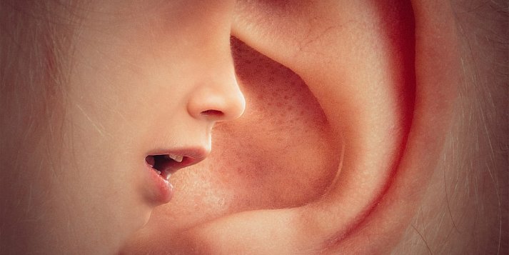 Nowy system zgłoszeń w Pułtusku. Sprawdź, kto i co może zgłaszać