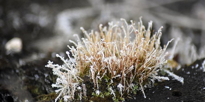 Ostrzeżenie pierwszego stopnia dla miejscowości Pułtusk i dla okolic