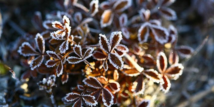 Ostrzeżenie pierwszego stopnia dla miejscowości Pułtusk i dla okolic