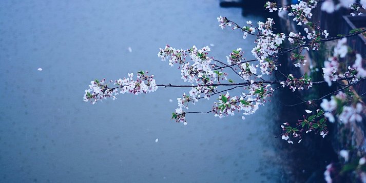 Kiedy zacznie padać w Pułtusku? Sprawdziliśmy