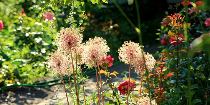 Majówka wyjątkowo ciepła i słoneczna