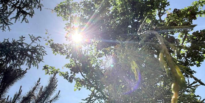 Przed nami ciepły i słoneczny weekend 🌞