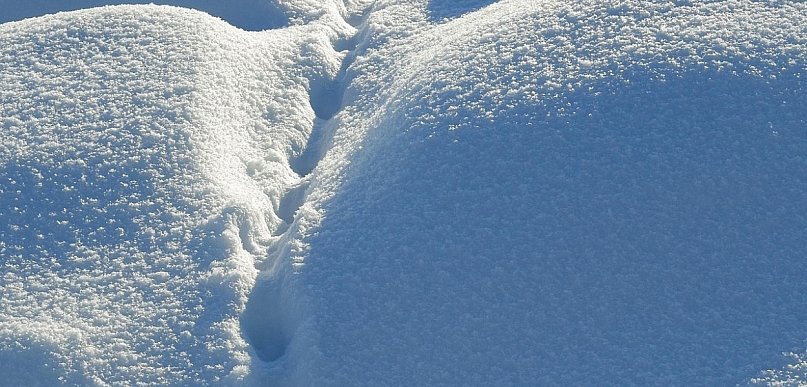 Zwłoki zaginionej 67-latki odkryto w zaspie śniegu; zatrzymano 45-latka