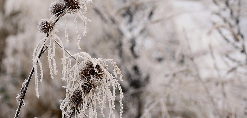 IMGW ostrzega przed silnym mrozem i opadami marznącymi