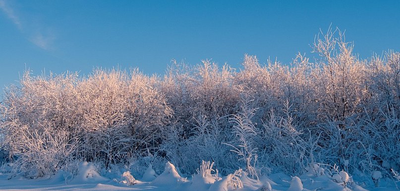 W najbliższych dniach rozpogodzenia, opady śniegu i mróz do minus 25 st. C