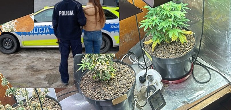 Narkotyki w mieszkaniu 28-latki. Decyzja Prokuratury w Pułtusku