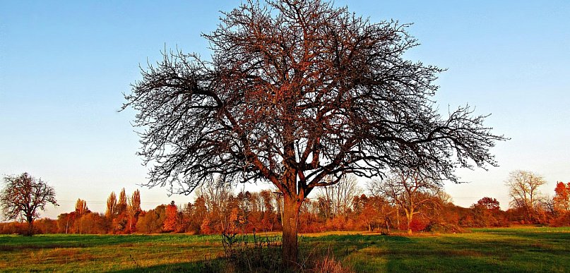 Najbliższe dni przyniosą dużo słońca i ocieplenie