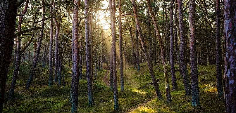 Nowy rezerwat w regionie - Ostoja Nowodworska
