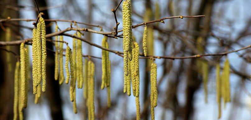 Weekend słoneczny, z temperaturami do 15 st. C; od poniedziałku cieplej!