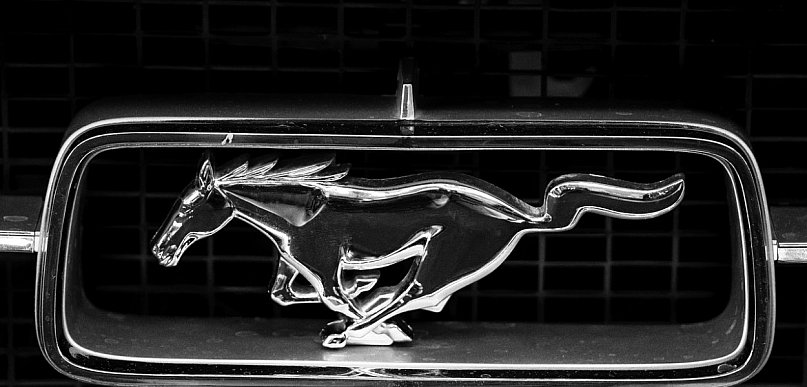 Odebrany pijanemu kierowcy Ford Mustang do Pułtuska raczej nie trafi