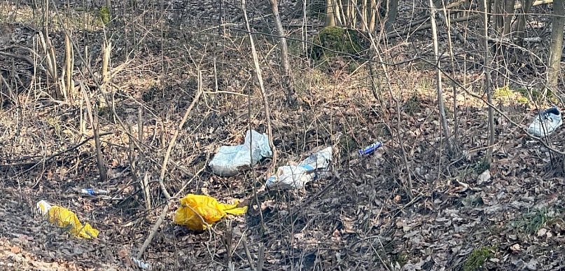 Efekt ekologiczny? Minęło już ponad ćwierć wieku...